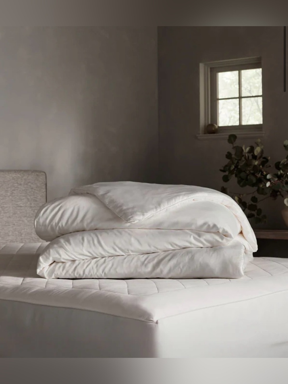 Cozy Earth Silk Comforter - King/California King - NWOT